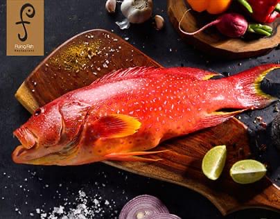 صورة سمك شريفي