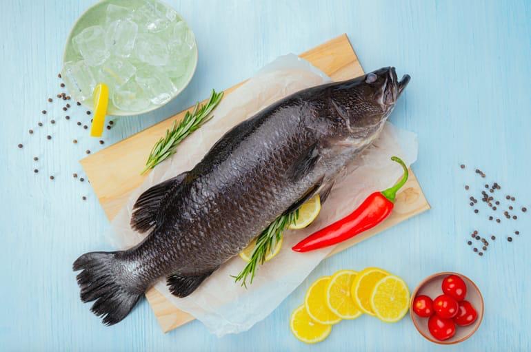 صورة سمك سيباس